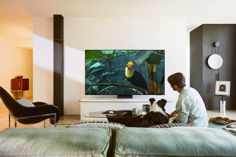 65 Zoll TV + Soundsystem